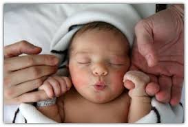 newborn holding mum and dads hand